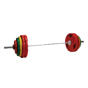 Weider Balance Ball_3